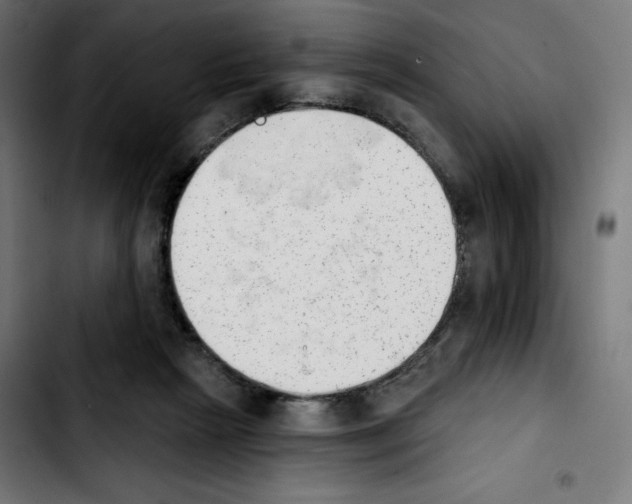 X0000103910265200810311439