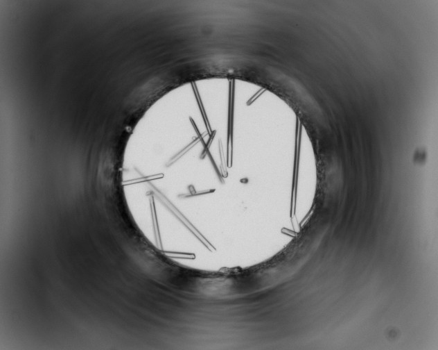 X0000103910266200810311439