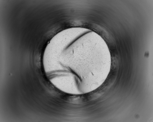 X0000103910267200810311439