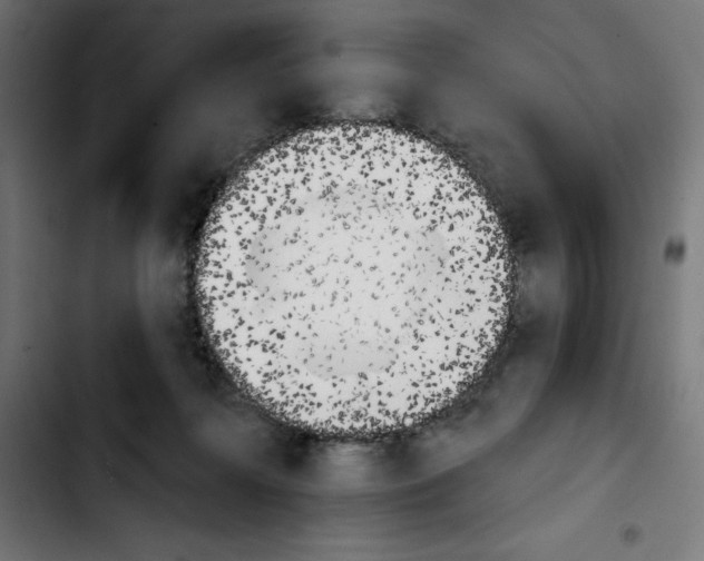 X0000103910268200810311439