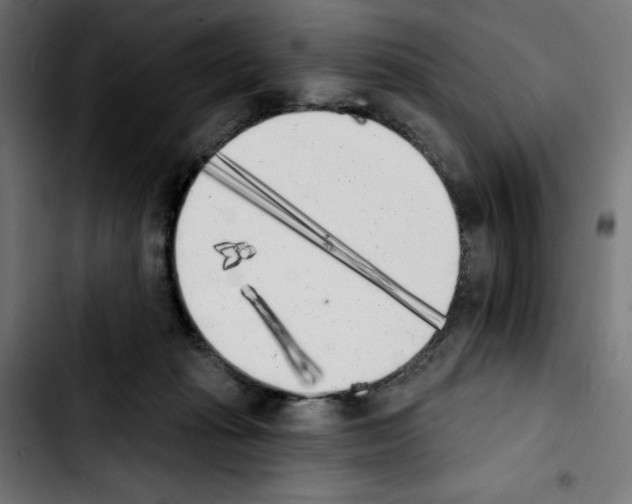 X0000103910269200810311439
