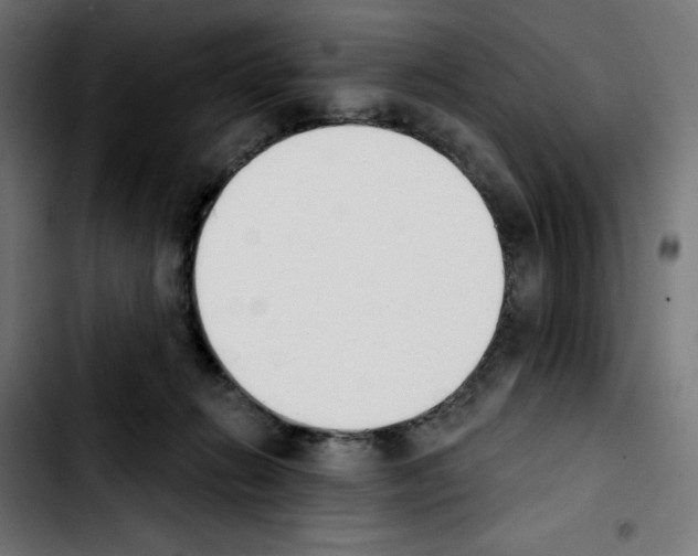 X0000103910270200810311439