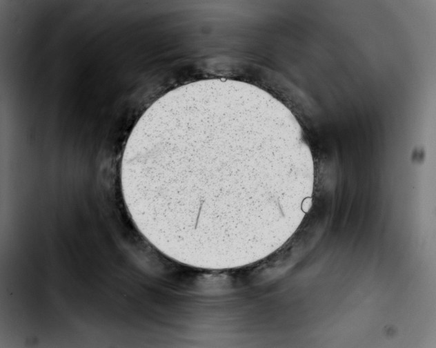 X0000103910271200810311439