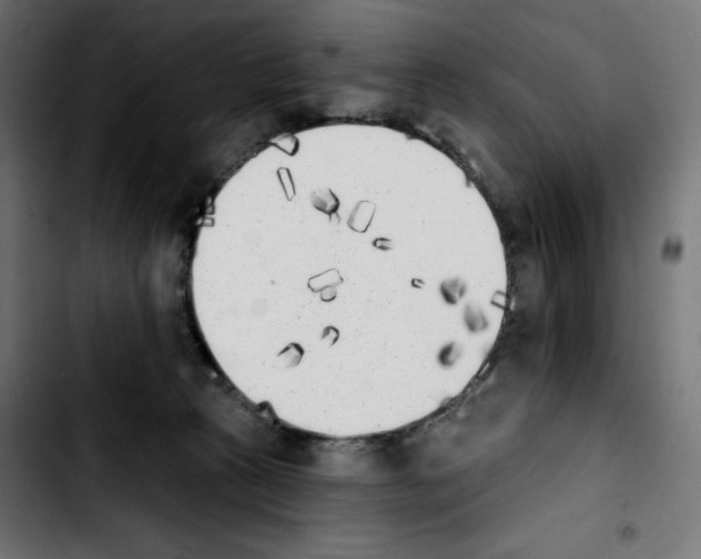 X0000103910273200810311439