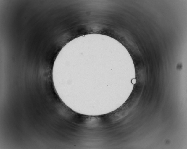 X0000103910274200810311439