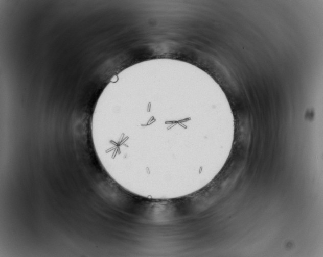 X0000103910275200810311439
