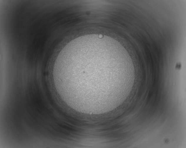 X0000103910276200810311439