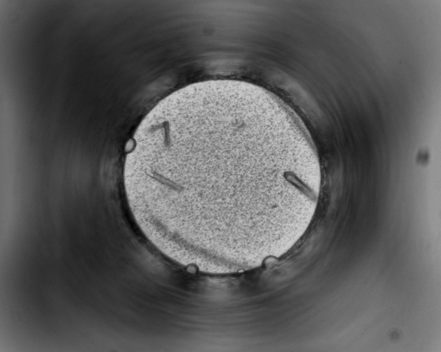 X0000103910277200810311439