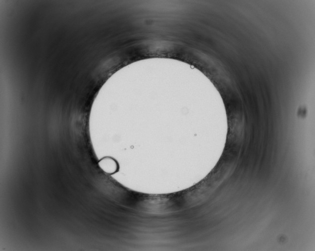 X0000103910278200810311439