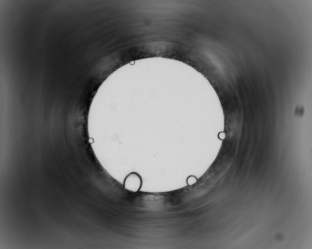 X0000103910279200810311439