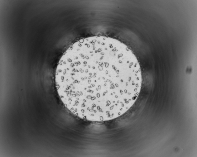 X0000103910280200810311439