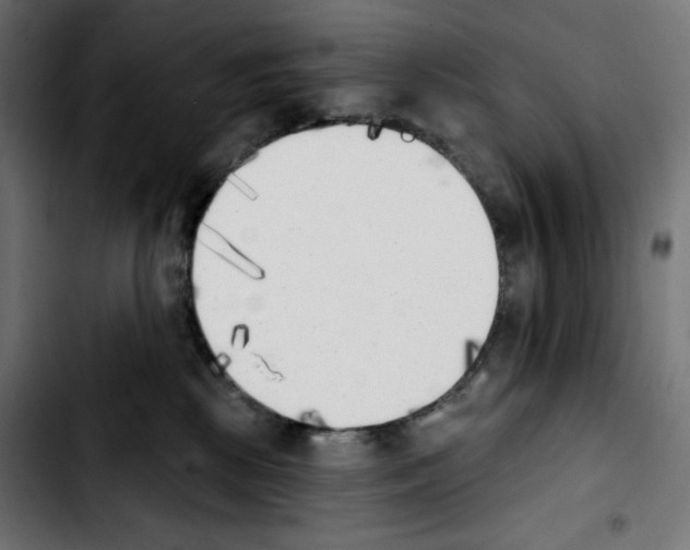 X0000103910281200810311439