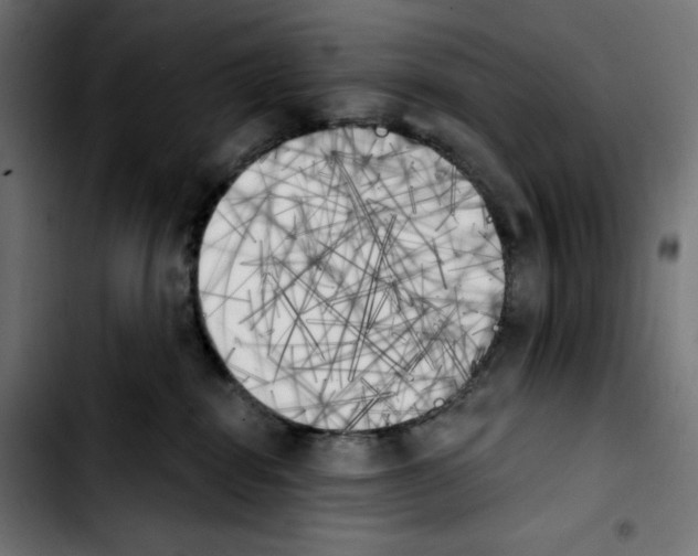 X0000103910282200810311439