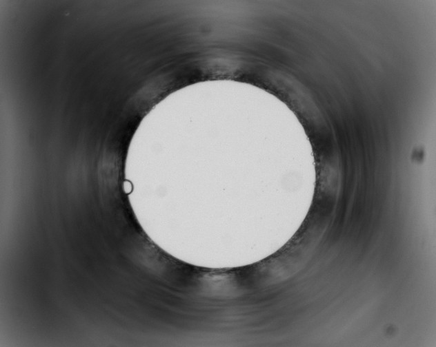 X0000103910283200810311439