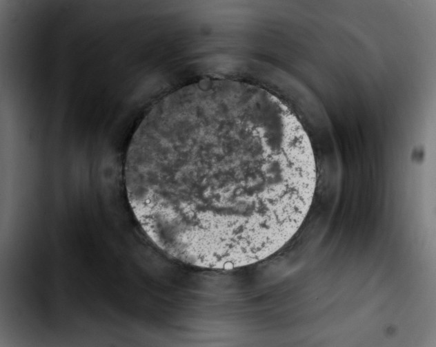 X0000103910284200810311439