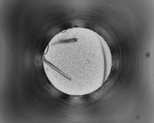 X0000103910285200810311439