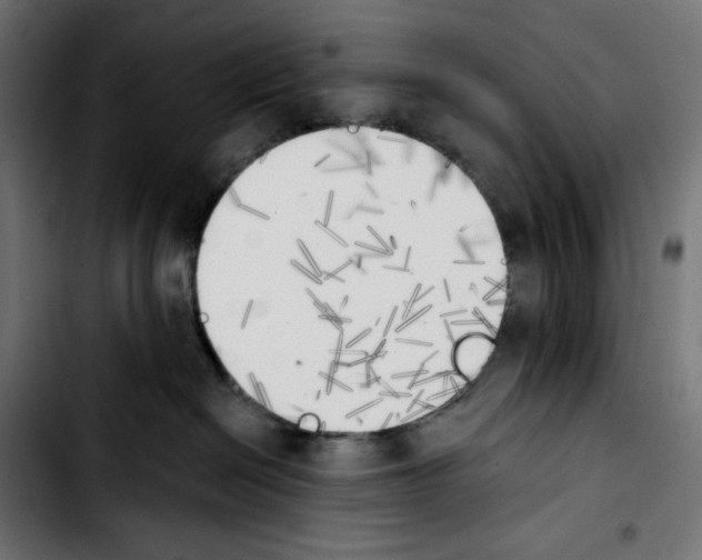 X0000103910286200810311439