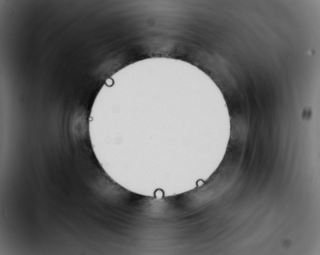 X0000103910287200810311439
