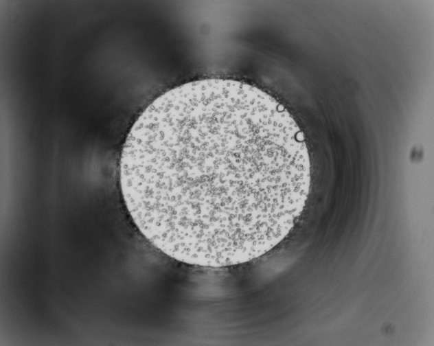 X0000103910288200810311439