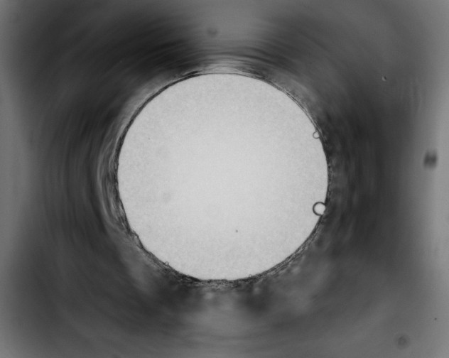 X0000103910289200810311439