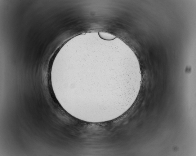 X0000103910290200810311439