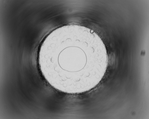 X0000103910291200810311438