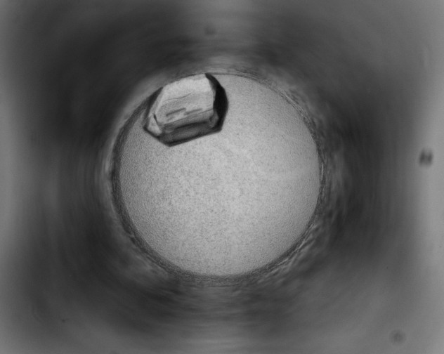 X0000103910292200810311438