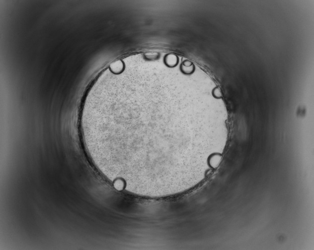 X0000103910293200810311438