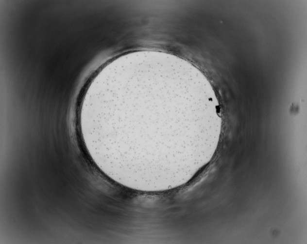 X0000103910294200810311438
