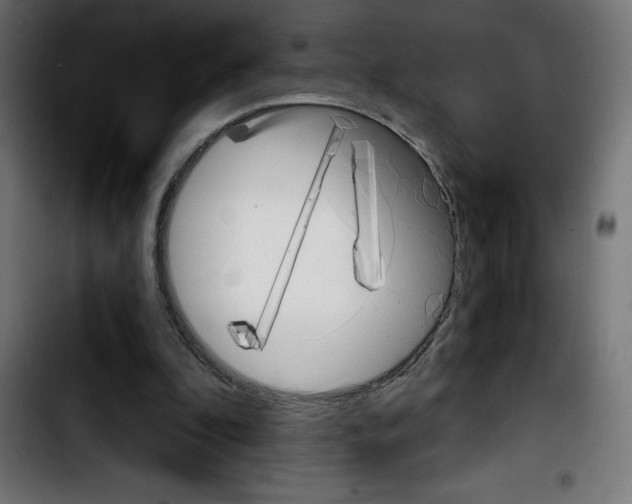 X0000103910296200810311438