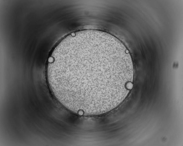 X0000103910297200810311438