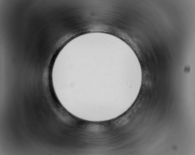 X0000103910298200810311438