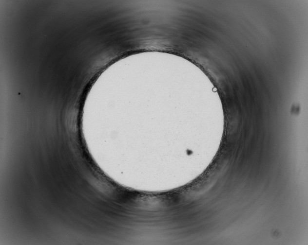 X0000103910299200810311438