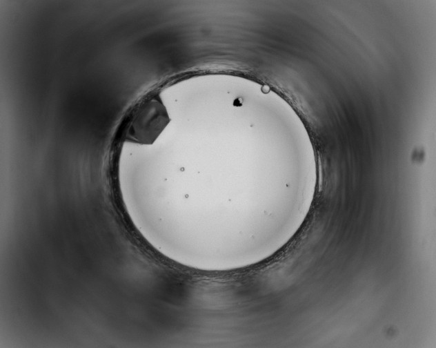 X0000103910300200810311438
