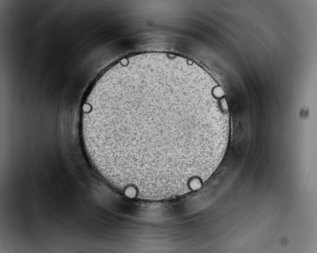 X0000103910301200810311438