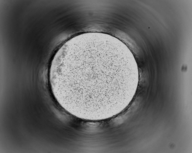 X0000103910302200810311438