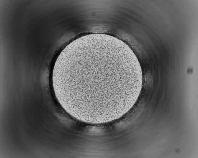 X0000103910303200810311438
