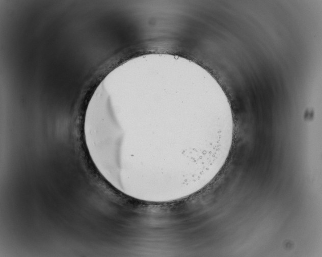 X0000103910305200810311438