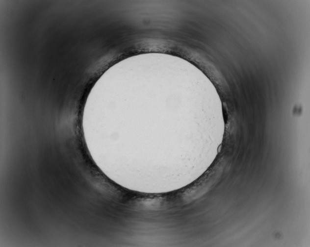 X0000103910306200810311438