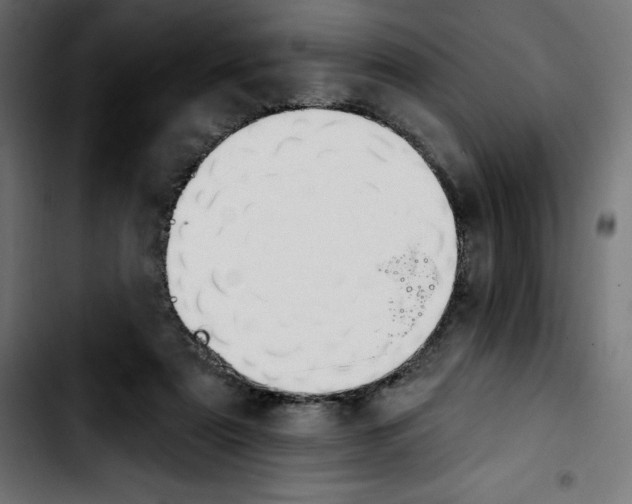X0000103910307200810311438