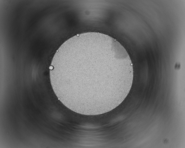 X0000103910308200810311438