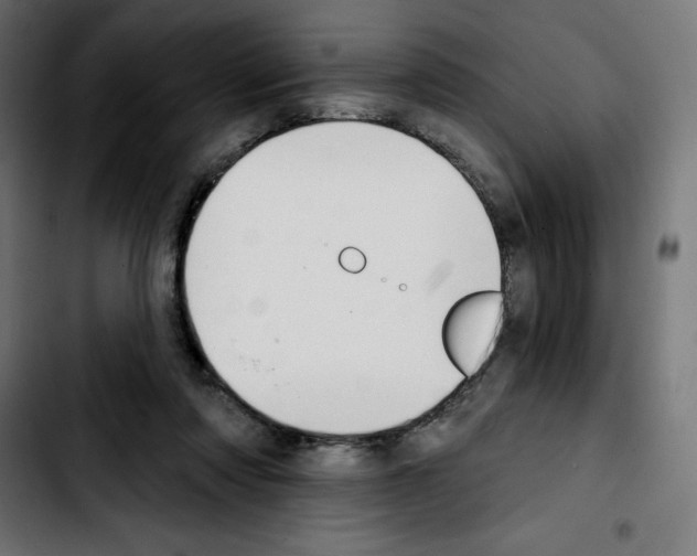 X0000103910310200810311438