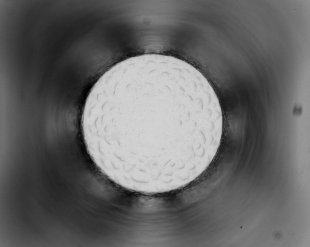 X0000103910311200810311438
