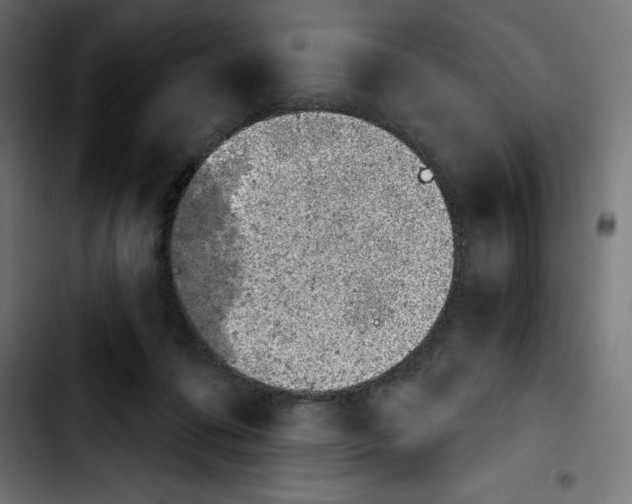 X0000103910312200810311438