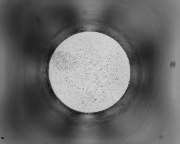X0000103910313200810311438