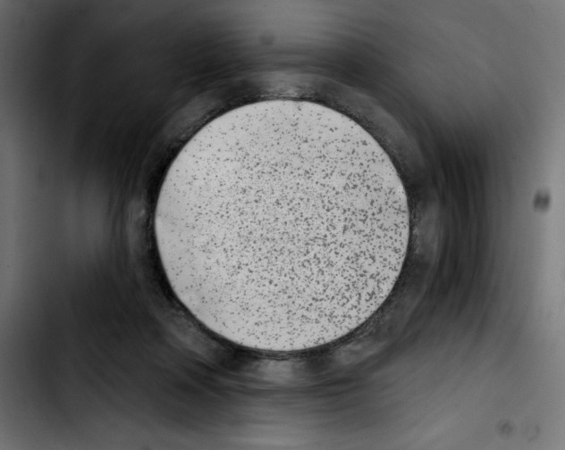 X0000103910314200810311438