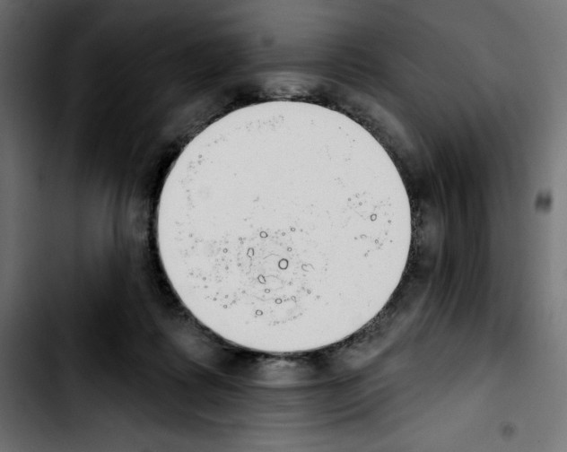 X0000103910315200810311438