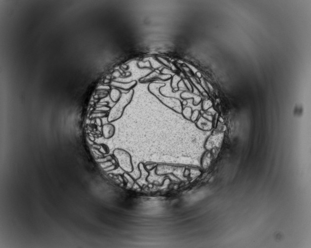 X0000103910316200810311438
