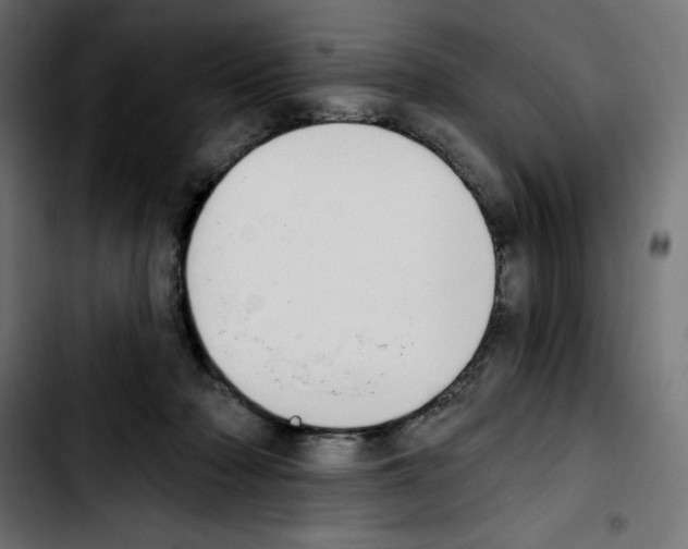 X0000103910318200810311438