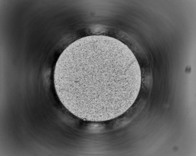 X0000103910319200810311438